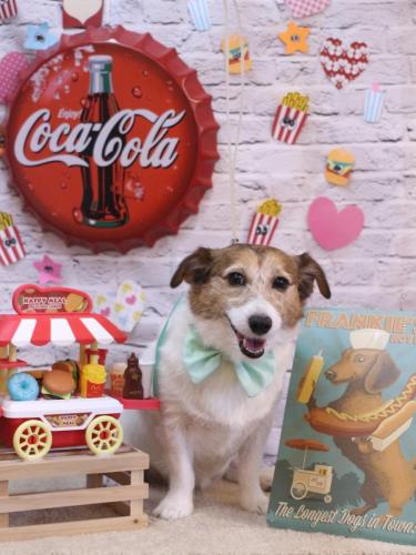 20230919こはるちゃん